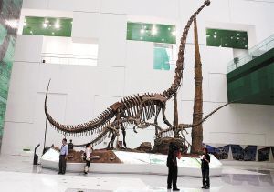 中國科技館新館開放很大很好玩(組圖)