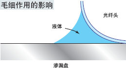 ¼ì²â¿É¿¿-Ã«Ï¸×÷ÓÃµÄÓ°Ïì