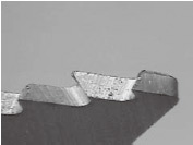 µ¶ÈÐ(¡Á40±¶)