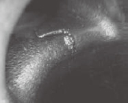 ÖýÔì¹Ü½ÓÍ·