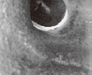 ¹ÜµÀÄÚµÄ×´Ì¬