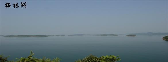 按此在新窗口瀏覽圖片