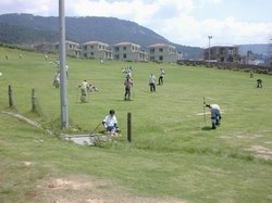 按此在新窗口瀏覽圖片